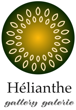 Hélianthe au printemps